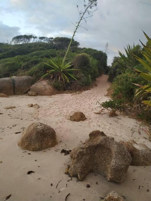 Apto 80M Da Praia Grande Vista Mar! Governador Celso Ramos Zewnętrze zdjęcie